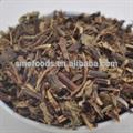 Polygonum chinense